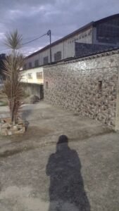 Magnum