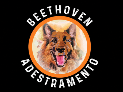 Beethoven Adestramento